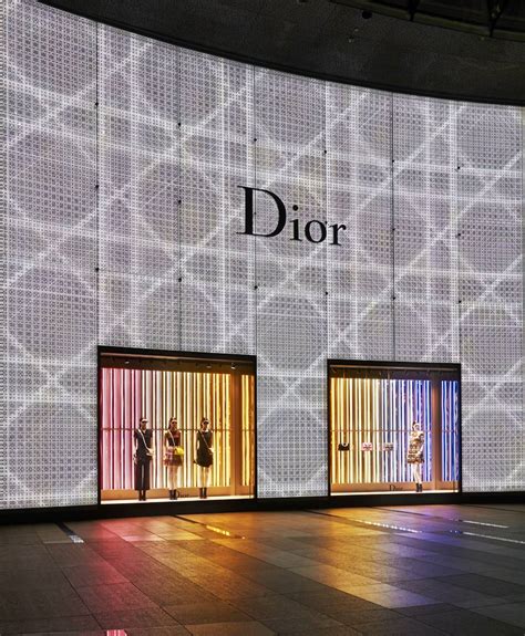 christian dior singapore online shop